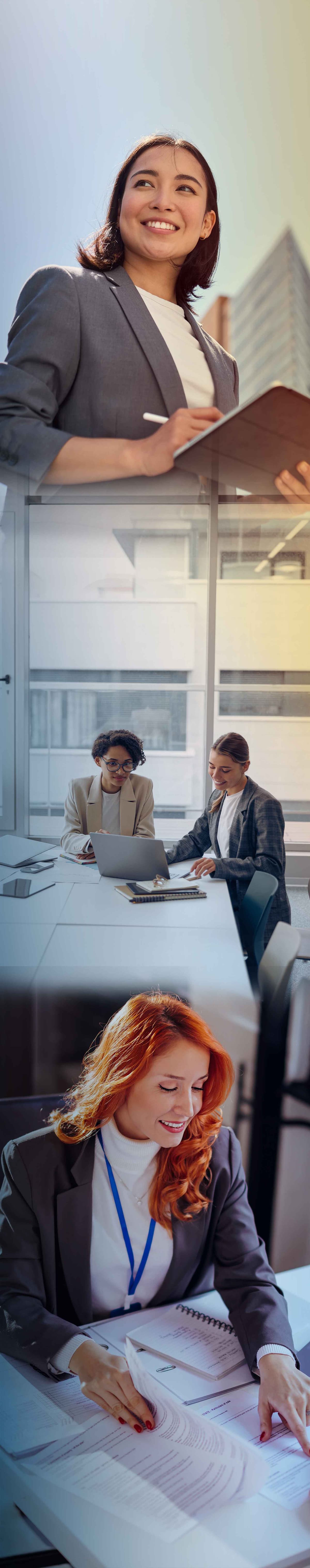 Illustration of Portfolio management